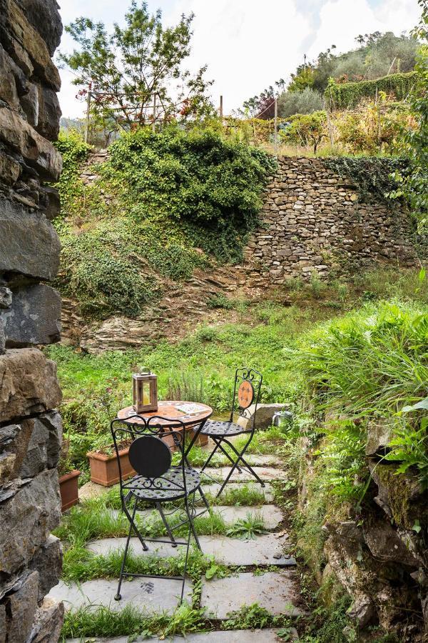 Agriturismo L'Adagio Badalucco Dış mekan fotoğraf